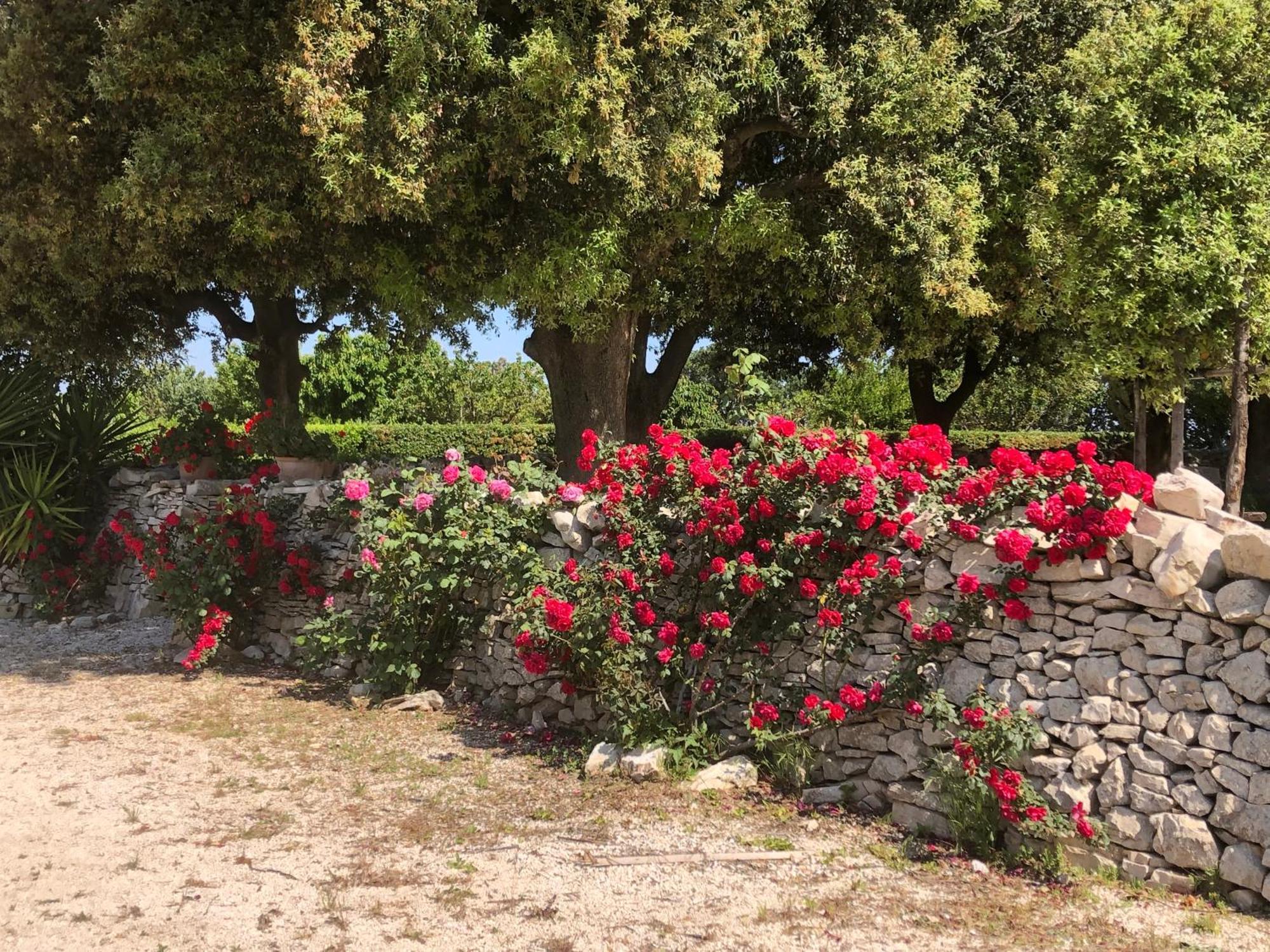 Villa Ai Pilieri di Bagnoli Castel Del Monte  Esterno foto