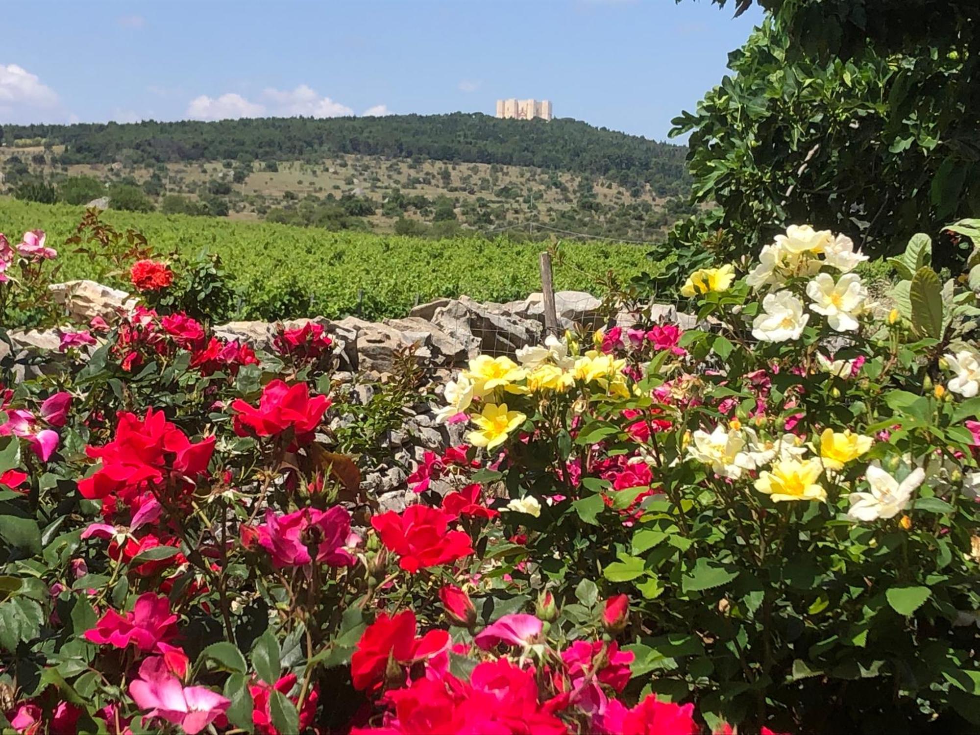Villa Ai Pilieri di Bagnoli Castel Del Monte  Esterno foto