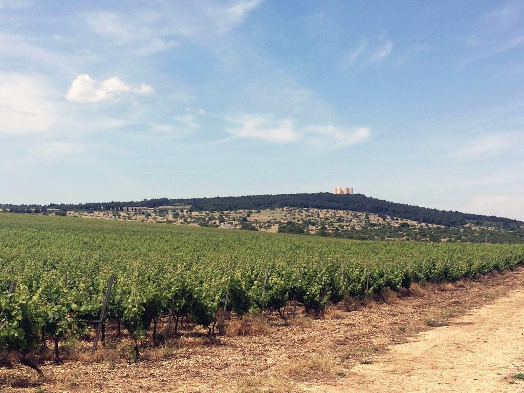Villa Ai Pilieri di Bagnoli Castel Del Monte  Esterno foto